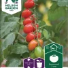 Nelson Garden Siemen Tomaatti, Kirsikka-, Vespolino F1 -Piha myymälä Fj2JRYmn4SP8GER0kFwEFG