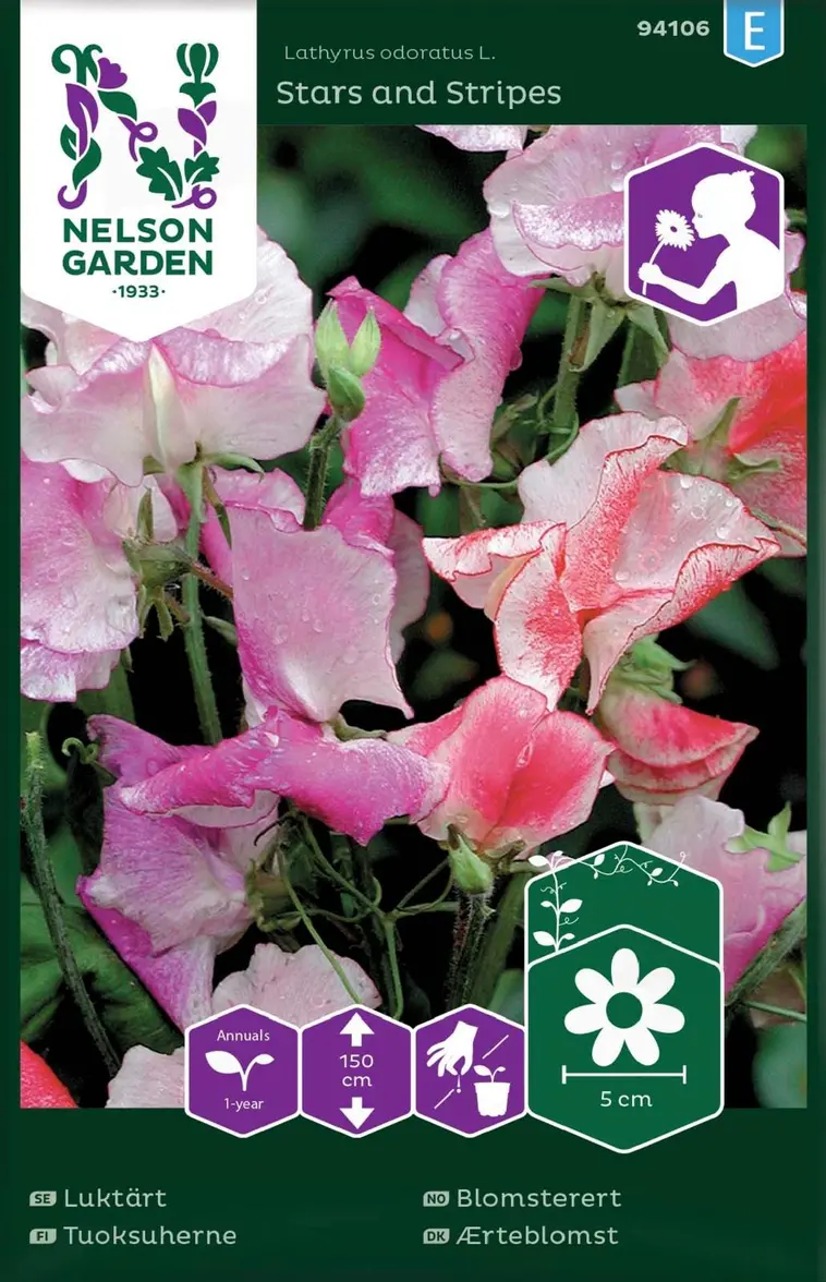 Nelson Garden Siemen Tuoksuherne, Stars And Stripes 3 Nelson Garden Siemen Tuoksuherne, Stars And Stripes